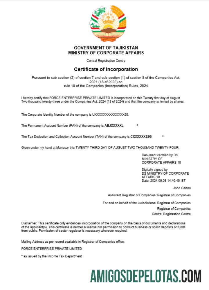 Certificado de registro comercial realista do Tadjiquistão modelo Word e PDF (1)